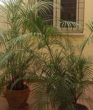 Espacio Apartment *